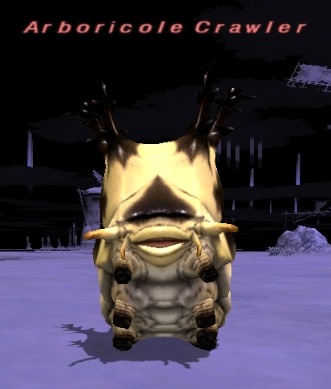 File:Arboricole Crawler.jpg