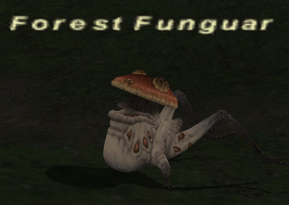 File:Forest Funguar.jpg