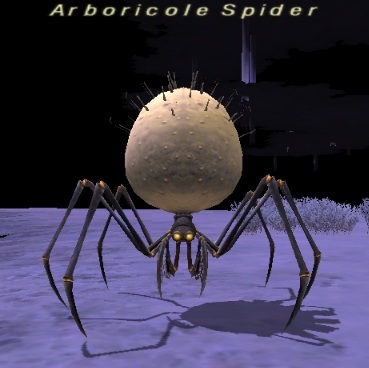 File:Arboricole Spider.jpg
