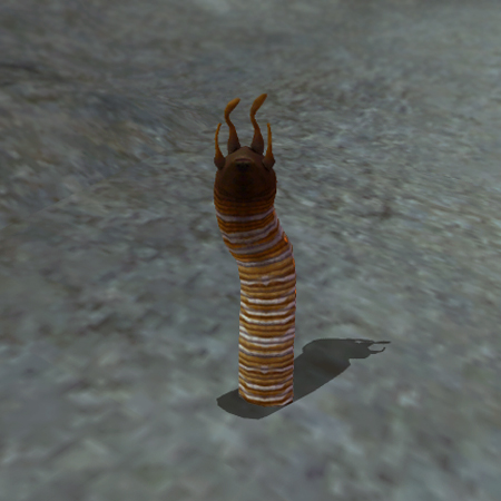 File:Worm.jpg