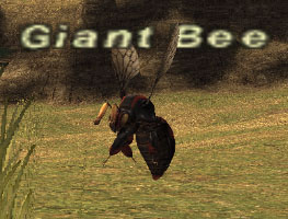 File:Giant Bee.jpg
