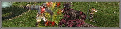 Item Level Adjustments (07/19/2013)