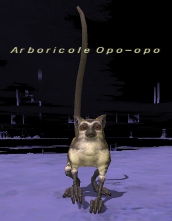 File:Arboricole Opo-opo.jpg