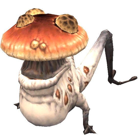 File:Category-Funguar.jpg