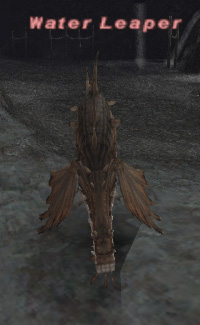 File:Water leaper.jpg