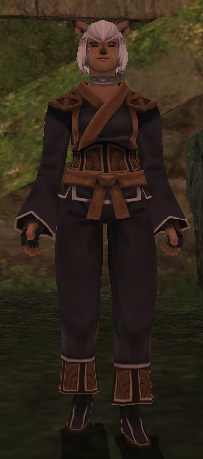 File:Mercenarys Stylelock.jpeg