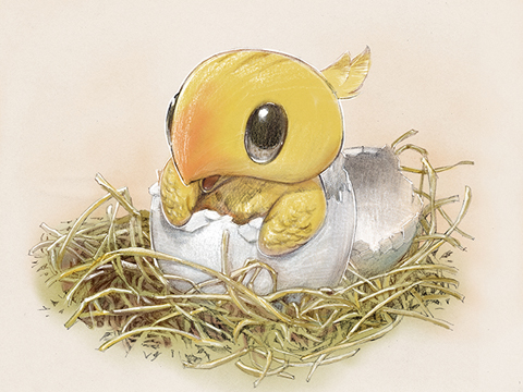 File:Baby choco.jpg