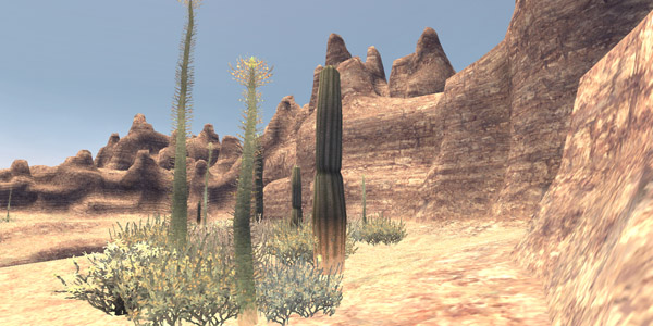 File:Succulent Cactus.jpg