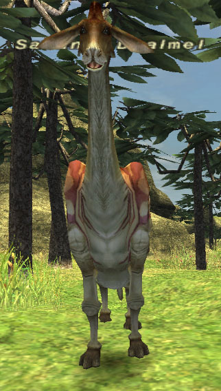 File:Savanna Dhalmel.jpg