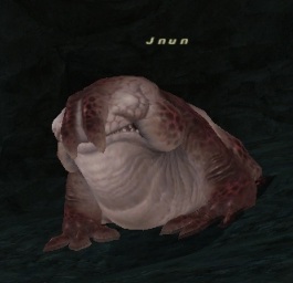 File:Jnun.jpg