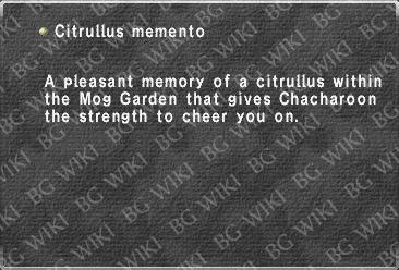 Citrullus memento