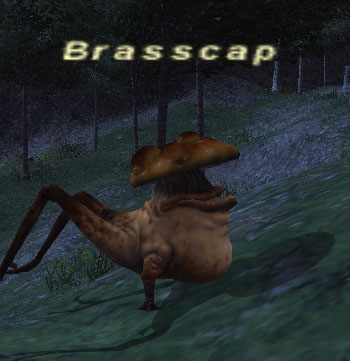 File:Brasscap.jpg