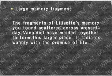 File:Large memory fragment.jpg
