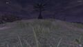 Thumbnail for version as of 22:39, 29 August 2026