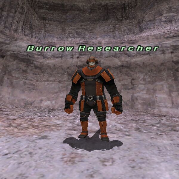 File:Burrow Researcher.jpg