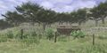 Thumbnail for version as of 21:58, 29 August 2026