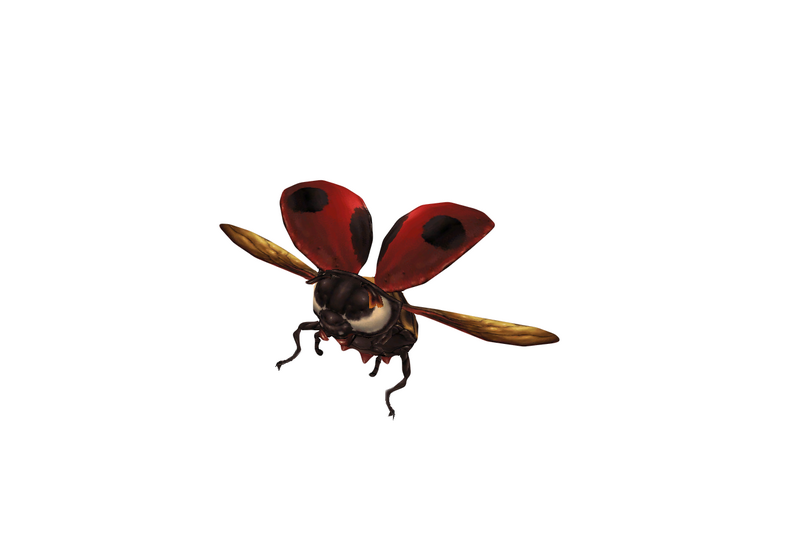 File:Ladybug 1.png