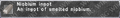 Thumbnail for version as of 23:42, 29 August 2026