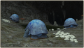 Thumbnail for version as of 22:23, 29 August 2026