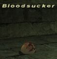 Thumbnail for version as of 23:24, 29 August 2026