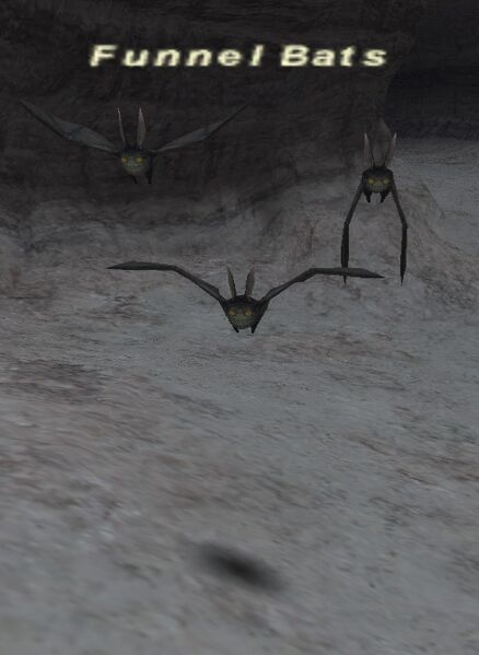 File:Funnel Bats.jpg