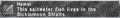 Thumbnail for version as of 23:11, 29 August 2026