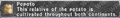 Thumbnail for version as of 21:53, 29 August 2026