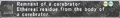 Thumbnail for version as of 22:15, 29 August 2026