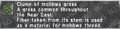 Thumbnail for version as of 22:29, 29 August 2026