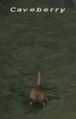 Thumbnail for version as of 23:59, 29 August 2026
