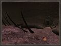 Thumbnail for version as of 23:06, 29 August 2026