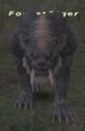 Thumbnail for version as of 23:04, 29 August 2026