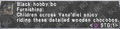 Thumbnail for version as of 21:58, 29 August 2026