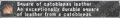 Thumbnail for version as of 23:23, 29 August 2026