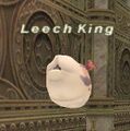 Thumbnail for version as of 23:44, 29 August 2026