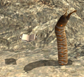 Thumbnail for version as of 00:02, 30 August 2026