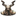 Odin