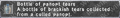 Thumbnail for version as of 23:42, 29 August 2026