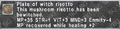 Thumbnail for version as of 21:11, 29 August 2026
