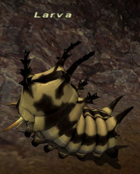 File:Larva.jpg