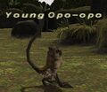 Thumbnail for version as of 22:38, 29 August 2026