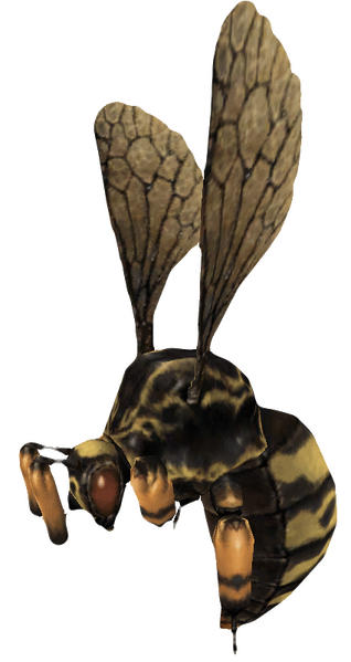 File:Bee 1.png