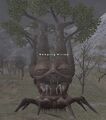 Thumbnail for version as of 23:54, 29 August 2026