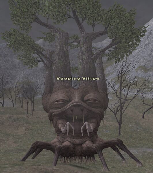 File:Weeping Willow.jpg