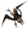 Roc