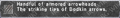 Thumbnail for version as of 21:41, 29 August 2026