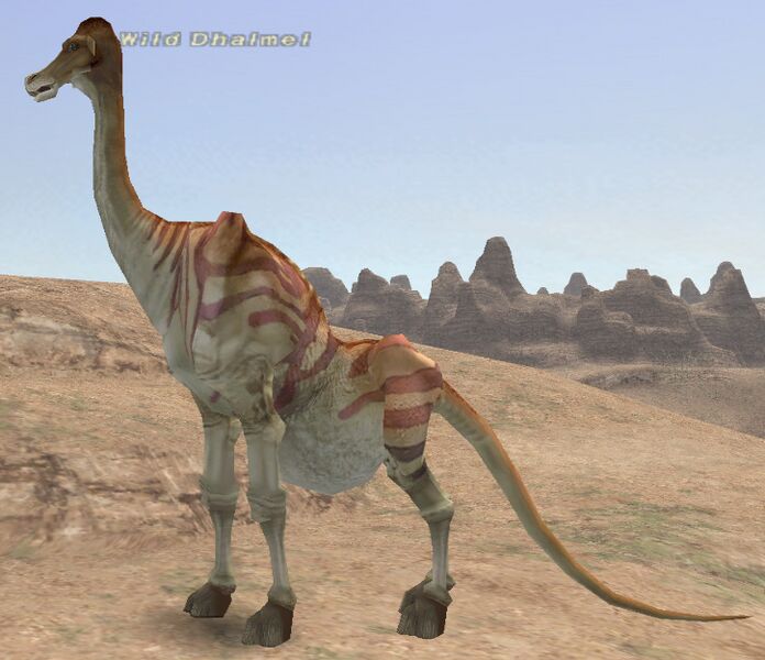 File:Wild Dhalmel.jpg