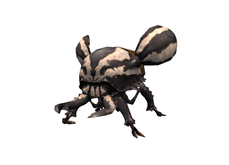 File:Beetle 2.png