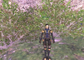 Thumbnail for version as of 23:41, 29 August 2026