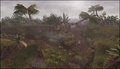 Thumbnail for version as of 21:41, 29 August 2026